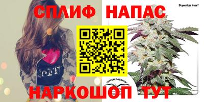apvp Кимры