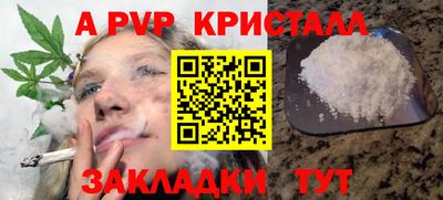 apvp Кимры