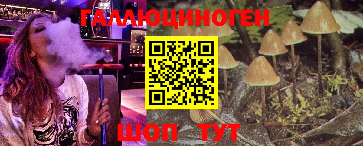 Псилоцибиновые грибы Magic Shrooms Киселёвск