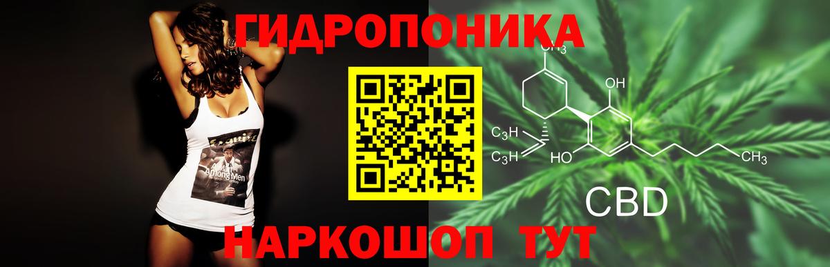 Бошки Шишки план  Бошки Шишки ГИДРОПОН  Киселёвск  Вход с VPN  Бошки марихуана конопля 